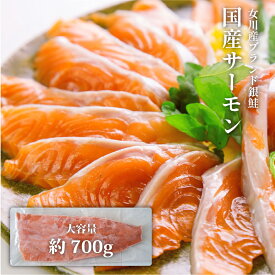 国産 サーモン ( 銀鮭 ) 銀王 刺身用 半身 フィーレ 約700g 【 送料無料 】 刺身 お刺身 切り身 生食用 皮無し 骨なし 骨取り 冷凍 ご当地 お取り寄せグルメ 食品 おつまみ 魚のおんちゃま 敬老の日