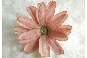 ߂ԁ@RT[W}[Kbg@IW⁙VN100%{̍RT[W hV̓ ̓ ̓  w ƎtH[} wAANZT[ v[