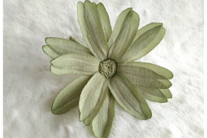 ߂ԁ@RT[W}[Kbg@΁⁙VN100%{̍RT[W hV̓ ̓ ̓  w ƎtH[} wAANZT[ v[g Mt