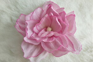 ߂ԁ@RT[W{^@sN⁙VN100%{̍RT[W@hV̓@̓@  w ƎtH[} wAANZT[ysmtb-kzykyz