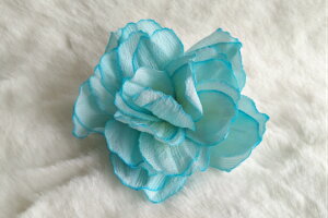 ߂ԁ@RT[W{^@⁙VN100%{̍RT[W@hV̓@̓@  w ƎtH[} wAANZT[ysmtb-kzykyz