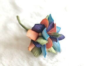 VN100%̔a߂̐F@߂ԁ@RT[W@Ⴀ@5ցRT[W  z̉  v[gMtg ̓ ̓ hV̓ NX}