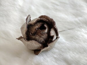 VN100%̔F@߂ԁ@sEu[`@o@aRT[W nbgs@Xg[s@ z̉  v[gMtg ̓ ̓ hV