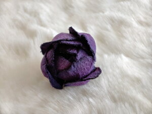 VN100%̔F@߂ԁ@sEu[`@o@ZRT[W nbgs@Xg[s@ z̉  v[gMtg ̓ ̓ hV