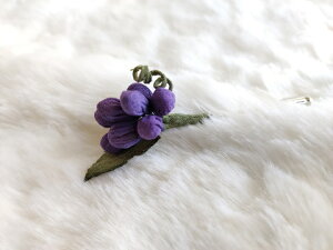 VN100%̔F@߂ԁ@sEu[`@Ԃǂ@RT[W nbgs@Xg[s@ z̉  v[gMtg ̓ ̓ hV