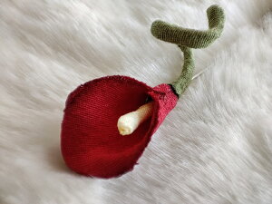 VN100%̔F@߂ԁ@sEu[`@~jJ[@ԁRT[W nbgs@Xg[s@ z̉  v[gMtg ̓ ̓ h