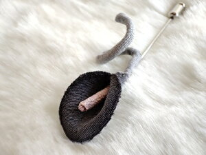 VN100%̔F@߂ԁ@sEu[`@~jJ[@O[RT[W nbgs@Xg[s@ z̉  v[gMtg ̓ ̓