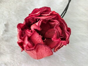 VN100%̔a߂̐F@߂ԁ@y_g@o@ԃIWy_g  z̉  v[gMtg ̓ ̓ hV̓ NX