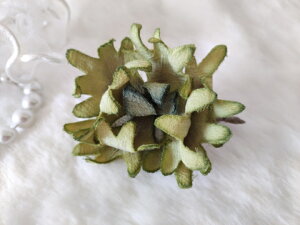 50OFFI߂ԁ@RT[WNXTh@΁⁙VN100%RT[W@̓  w ƎtH[} wAANZT[ysmtb-kzykyz