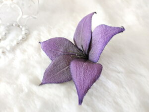 ߂ԁ@RT[WArt[@⁙VN100%RT[W ̓@ w ƎtH[} wAANZT[ysmtb-kzykyz