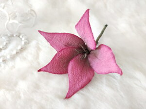 ߂ԁ@RT[WArt[@sN⁙VN100%RT[W ̓@ w ƎtH[} wAANZT[ysmtb-kzykyz