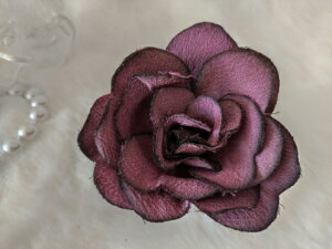 ߂ԁ@RT[Wo@wT@a⁙VN100%RT[W  VN ̓ ̓ hV̓  w ƎtH[} wAANZT[z̉  