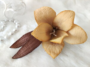 50OFFI߂ԁ@RT[WOWIX@܂Ԃ⁙VN100%RT[W  w ƎtH[} wAANZT[ysmtb-kzykyz