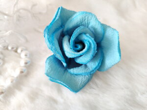 ߂ԁ@RT[Wo@u[⁙VN100%RT[W ̓@ w ƎtH[} wAANZT[ysmtb-kzykyz