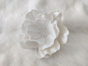 ߂ԁ@RT[W{^ij@߂⁙VN100%RT[W  VN ̓ ̓ hV̓  w ƎtH[} wAANZT[ 