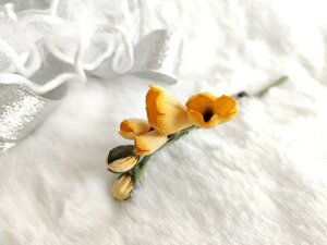 VN100%̔F@߂ԁ@RT[W@t[WA@RT[W  VN  z̉  v[gMtg ̓ ̓ hV̓ NX}Xysmtb-