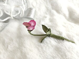 VN100%̔F@߂ԁ@RT[W@XB[gs[Qiڂ݁j@sNRT[W  VN  z̉  v[gMtg ̓ ̓ hV