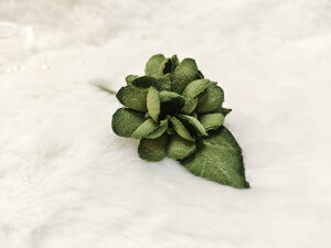 VN100%̔F@߂ԁ@RT[W@ᏬȂ@΁RT[W  z̉  v[gMtg ̓ ̓ hV̓ NX}Xysmtb-kzyk