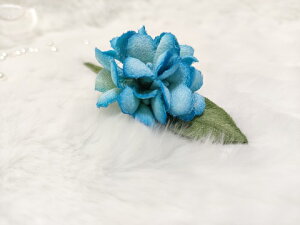 VN100%̔F@߂ԁ@RT[W@ᏬȂ@FRT[W  z̉  v[gMtg ̓ ̓ hV̓ NX}Xysmtb-kz