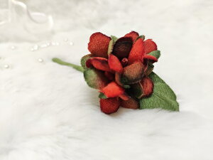 VN100%̔F@߂ԁ@RT[W@ᏬȂ@IW΁RT[W  z̉  v[gMtg ̓ ̓ hV̓ NX}Xys