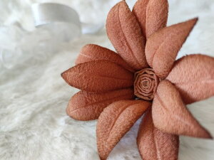 VN100%̔F@߂ԁ@RT[W@Ђ܂@eRb^RT[W  VN  z̉  v[gMtg ̓ ̓ hV̓ NX}