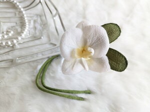 ߂ԁ@RT[Wԑ̃RT[W@R`E⁙VN100%{̍RT[W  VN hV̓ ̓ ̓  w ƎtH[} wAANZT