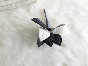 ߂ԁ@RT[W؂̗t@O[nF⁙VN100%{̍RT[W  VN hV̓ ̓ ̓  w ƎtH[} wAANZT[ 