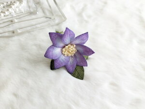 ߂ԁ@RT[WN}`X⁙VN100%{̍RT[W  VN hV̓ ̓ ̓  w ƎtH[} wAANZT[ v[g 