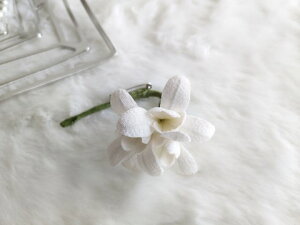 VN100%̔a߂̐F@߂ԁ@RT[W@Xm[hbv3ցRT[W  VN  z̉  v[gMtg ̓ ̓ hV̓ NX