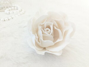 ߂ԁ@RT[Wo@wT@߂⁙VN100%RT[W  VN ̓ ̓ hV̓  w ƎtH[} wAANZT[z̉