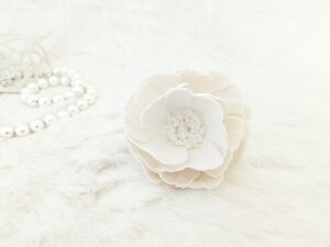 ߂ԁ@RT[W{^ij@߂⁙VN100%RT[W  VN ̓ ̓ hV̓  w ƎtH[} wAANZT[ 