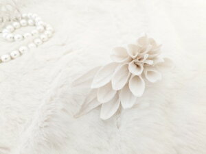 ߂ԁ@RT[W_A@dˉԕف@߂⁙VN100%RT[W  VN ̓ ̓ hV̓  w ƎtH[} wAANZT[z