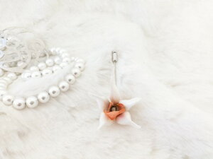 VN100%̔F@߂ԁ@sEu[`@VrWE@IWRT[W nbgs@Xg[s@ z̉  v[gMtg ̓ 