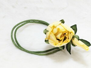 ߂ԁ@RT[Wԑ̃RT[W@oց@⁙VN100%{̍RT[W  VN hV̓ ̓ ̓  w ƎtH[} wAANZT