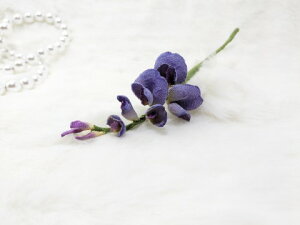 VN100%̔F@߂ԁ@RT[W@ᓡRT[W  VN  z̉  v[gMtg ̓ ̓ hV̓ NX}Xysmtb-kzykyz