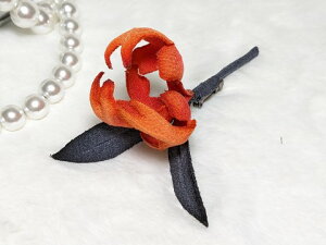 VN100%̔F@߂ԁ@RT[W@R`E@bviOفjRT[W  VN  z̉  v[gMtg ̓ ̓ hV