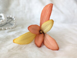 VN100%̔F@߂ԁ@RT[W@@A@IWnRT[W  VN  z̉  v[gMtg ̓ ̓ hV̓ N