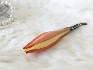 VN100%̔F@߂ԁ@RT[W@Qiڂ݁j@@A@IWnRT[W  VN  z̉  v[gMtg 