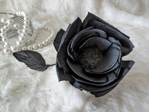 ߂ԁ@RT[Wo@ZO[⁙VN100%RT[W@̓@ w@ƎtH[} wAANZT[ aysmtb-kzykyz