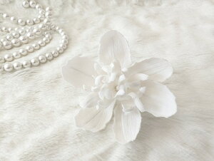 ߂ԁ@RT[WVNN@߂⁙VN100%{̍RT[W hV̓ ̓ ̓  w ƎtH[} wAANZT[z