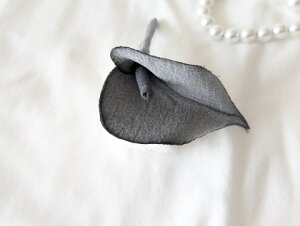 ߂ԁ@RT[WJ[@()@O[⁙VN100%{̍RT[W hV̓ ̓ ̓  w ƎtH[} wAANZT[