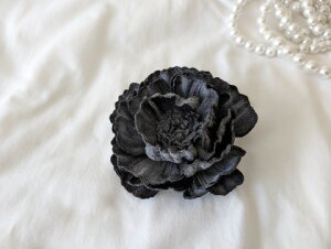 ߂ԁ@RT[W{^ij@ZO[⁙VN100%RT[W  VN ̓ ̓ hV̓  w ƎtH[} wAANZT[ 