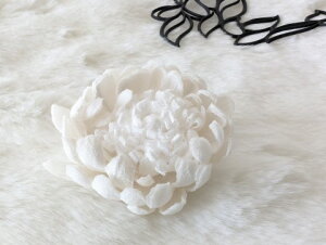 ߂ԁ@RT[Wf[W[@()@߂⁙VN100%{̍RT[W hV̓ ̓ ̓  w ƎtH[} wAANZT[