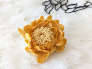 ߂ԁ@RT[Wf[W[@()@⁙VN100%{̍RT[W hV̓ ̓ ̓  w ƎtH[} wAANZT[z̉ 