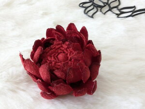 ߂ԁ@RT[Wf[W[@()@ԁ⁙VN100%{̍RT[W hV̓ ̓ ̓  w ƎtH[} wAANZT[z̉ 