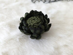 ߂ԁ@RT[Wf[W[@()@΁⁙VN100%{̍RT[W hV̓ ̓ ̓  w ƎtH[} wAANZT[z̉ 