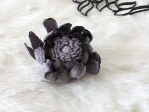 ߂ԁ@RT[Wf[W[@()@ݎ⁙VN100%{̍RT[W hV̓ ̓ ̓  w ƎtH[} wAANZT[z