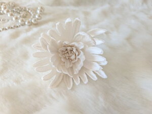 ߂ԁ@RT[We@߂⁙VN100%RT[W  VN ̓ ̓ hV̓  w ƎtH[} wAANZT[ z̉  