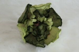 ߂ԁ@RT[WVNN@ZW΁⁙VN100%{̍RT[W hV̓ ̓ ̓  w ƎtH[} wAANZT[z̉ 