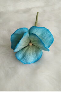 ߂ԁ@RT[WpW[ij@⁙VN100%{̍RT[W hV̓@̓@̓ w ƎtH[} wAANZT[ysmtb-kzykyz